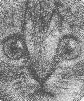 Infinite generations of photos